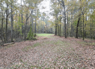 Roxie Mississippi – 94 Acre Recreational Retreat