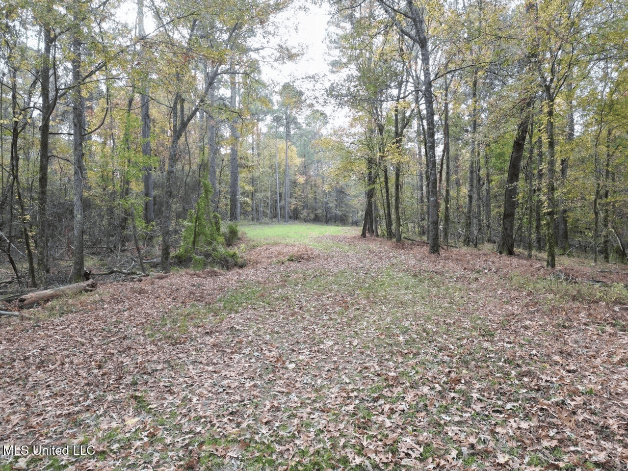 Roxie Mississippi – 94 Acre Recreational Retreat