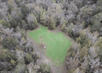 Woodville, MS – 40 Acres with Income-Producing Camp