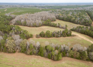 Timberland Farmland For Sale Clay County MS