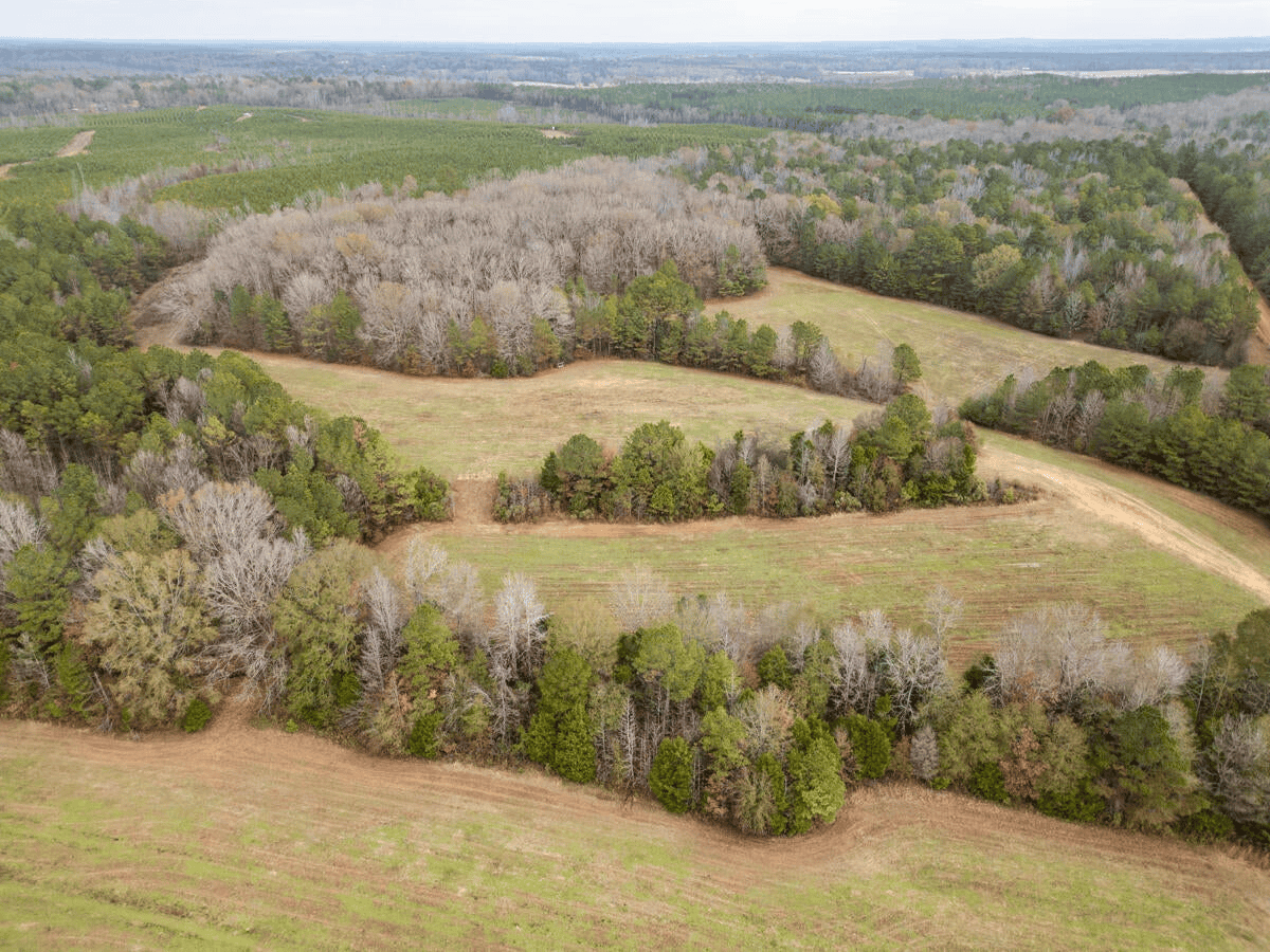 Timberland Farmland For Sale Clay County MS