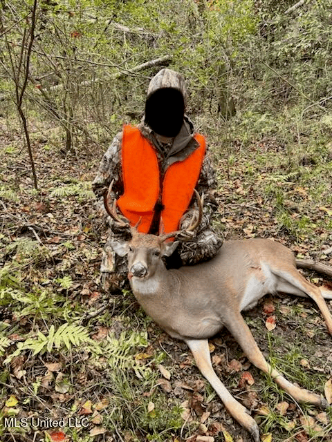 Asilo Farms on Bala Chitto Creek, Southwest Mississippi