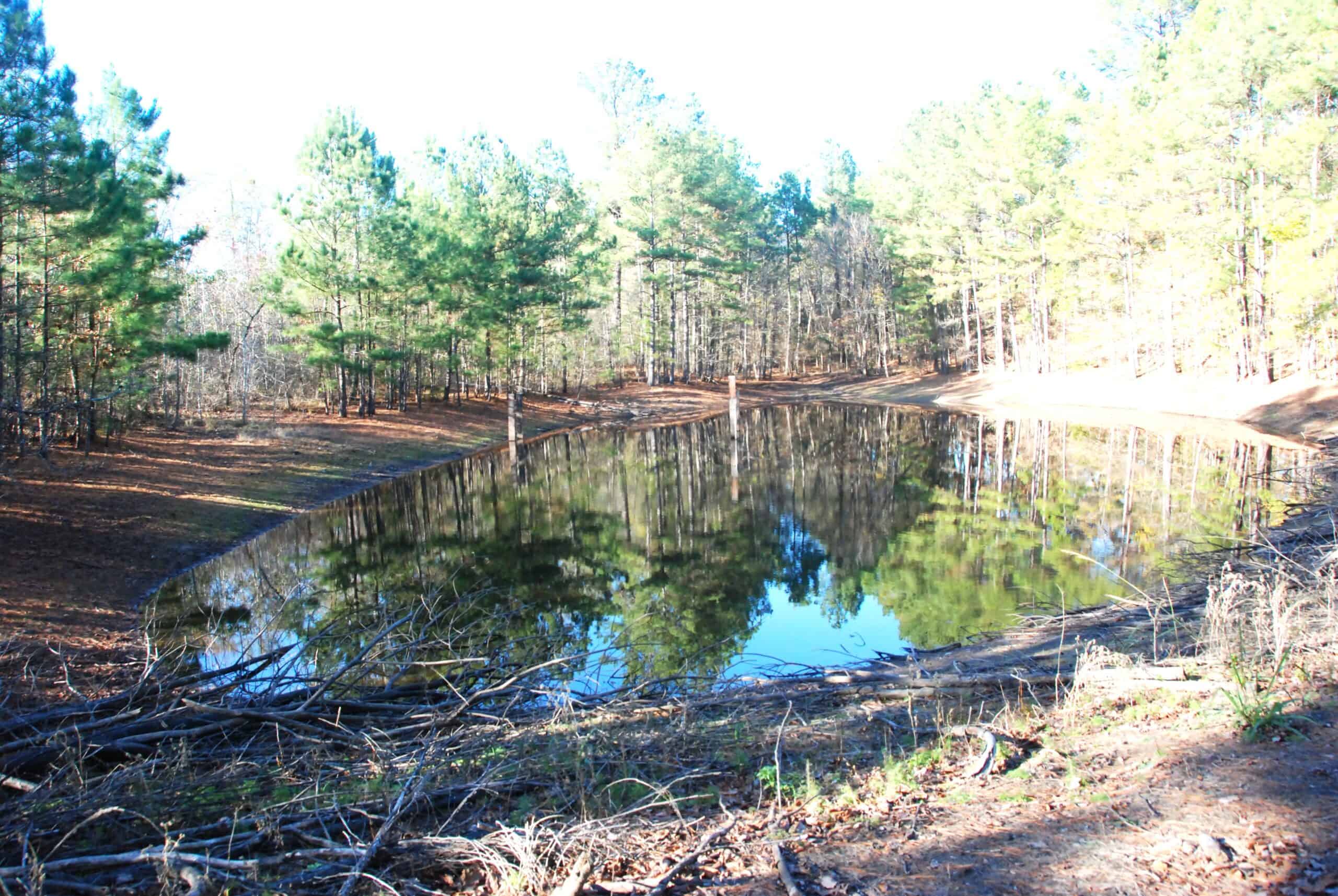 19.984 Acres East Texas Hunting Land near Hawkins TX Wood County