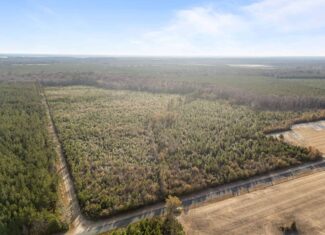 52-Acre Timber and Hunting Tract Near New Bern, NC