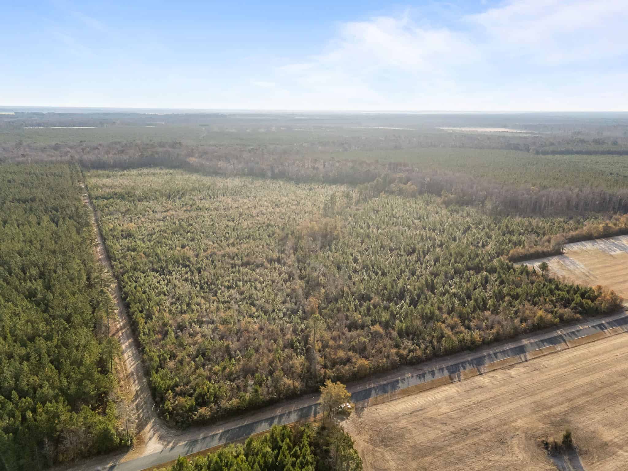 52-Acre Timber and Hunting Tract Near New Bern, NC