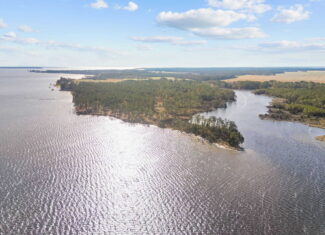 Prime 112-Acre Pungo River Waterfront Land for Sale