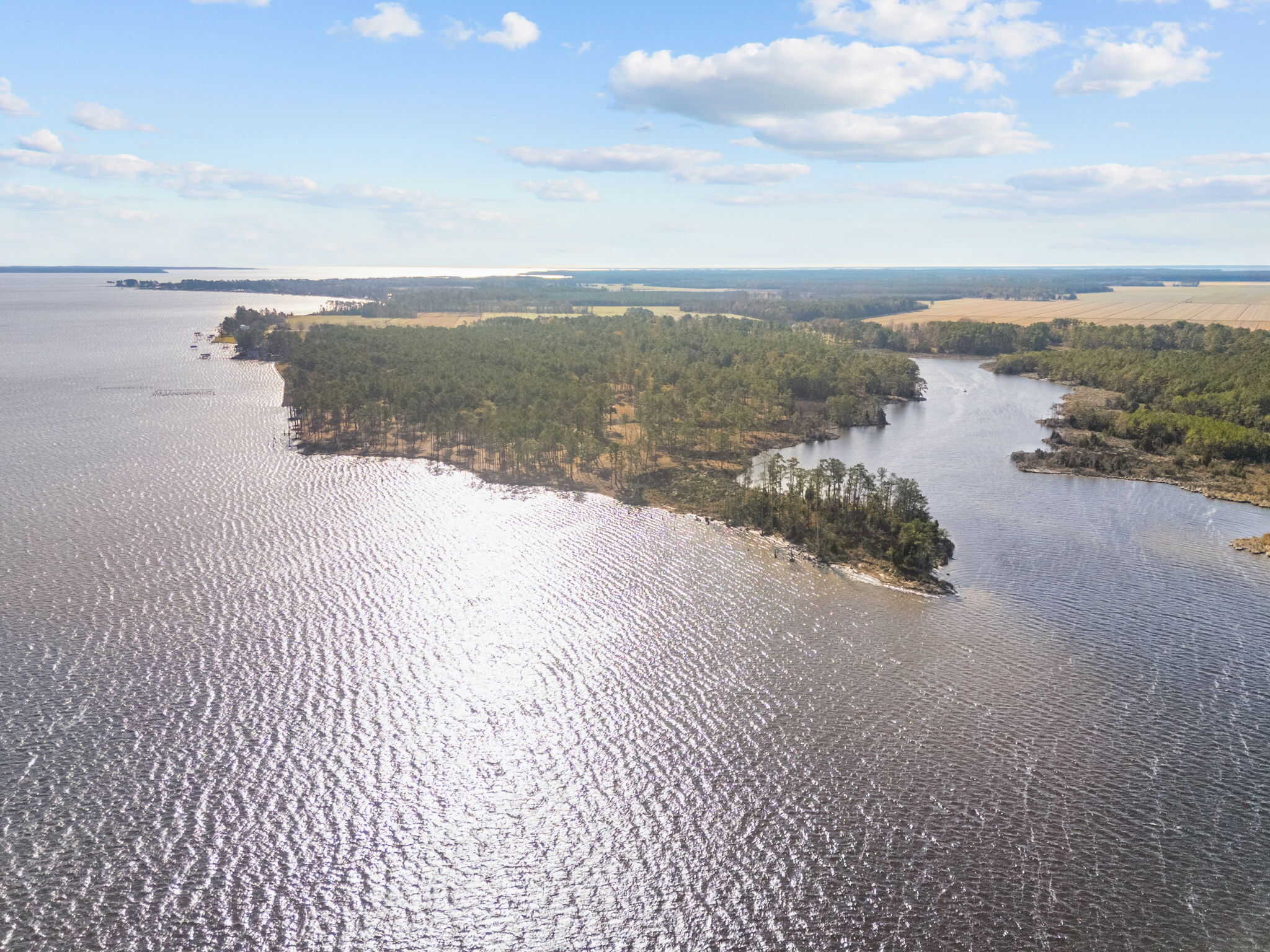 Prime 112-Acre Pungo River Waterfront Land for Sale