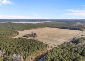 93-Acre Farm & Timber and Hunting Tract Near Washington, NC