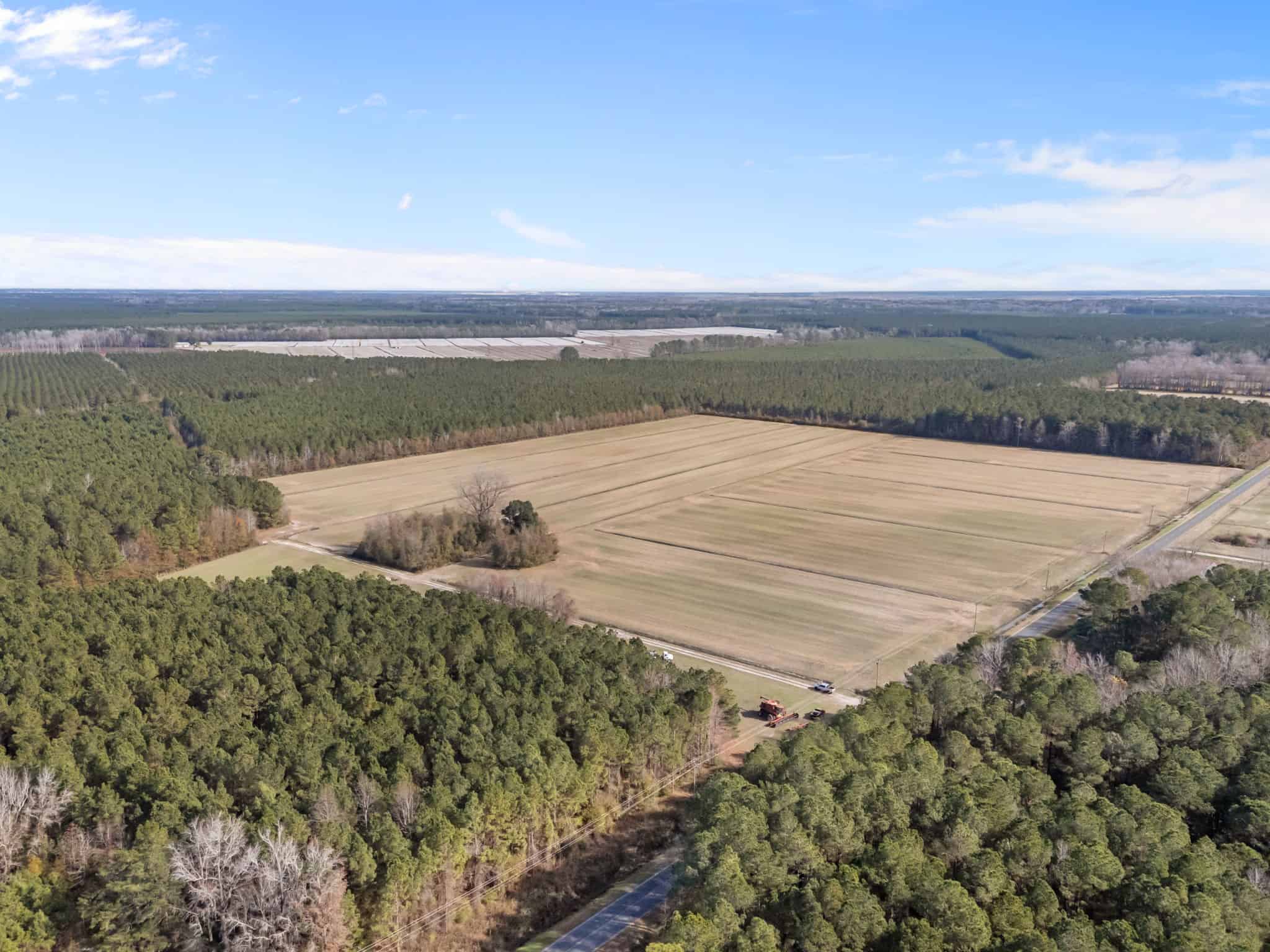 93-Acre Farm & Timber and Hunting Tract Near Washington, NC