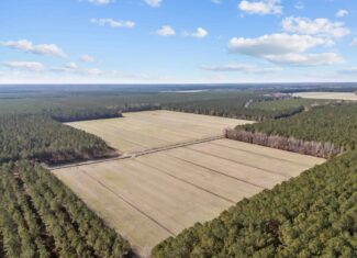125 Acres of Farmland & Timberland on Tuten Road for Sale