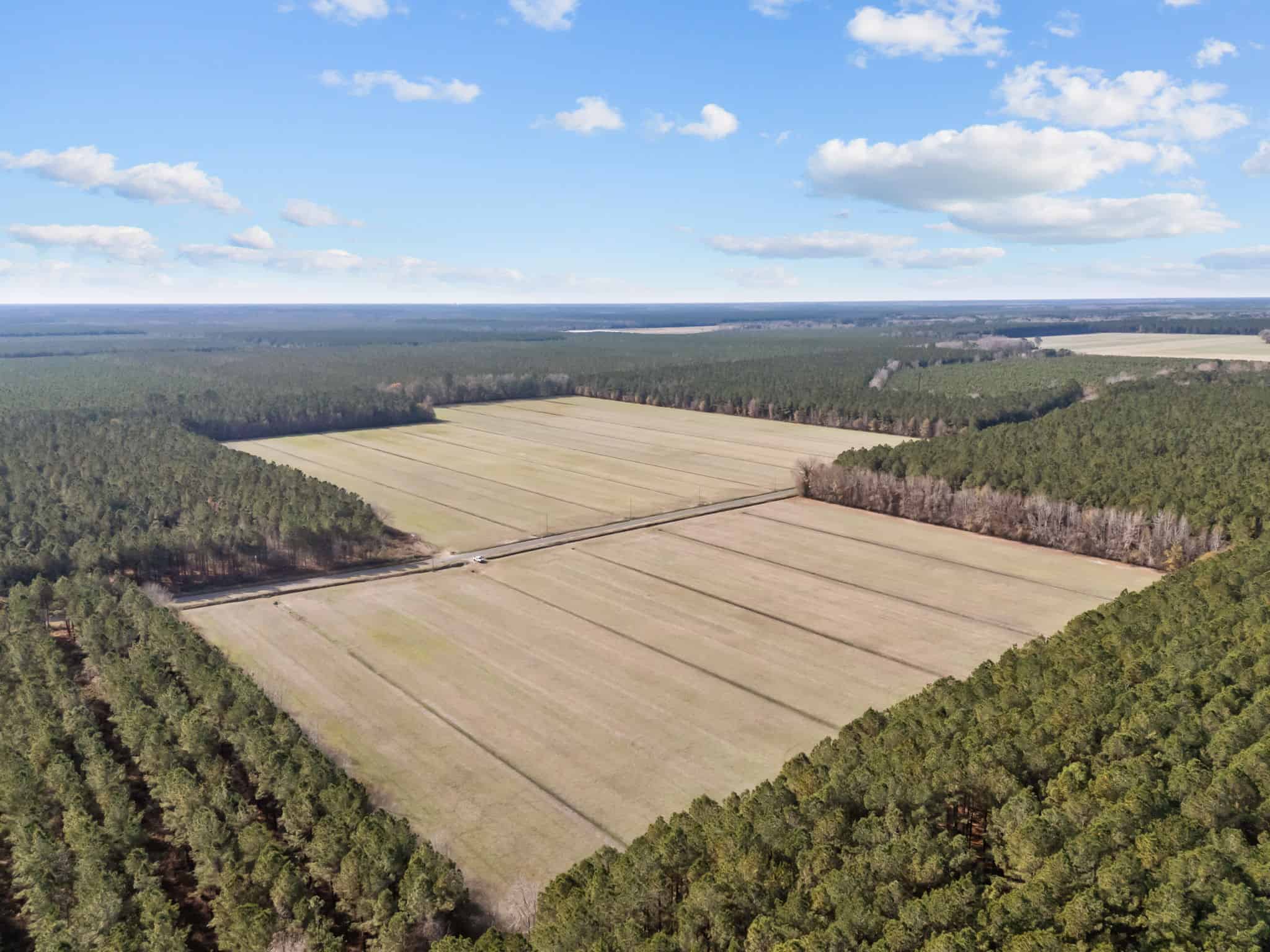 125 Acres of Farmland & Timberland on Tuten Road for Sale