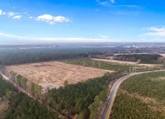 51-Acre Timber & Hunting Tract on Blounts Creek, NC