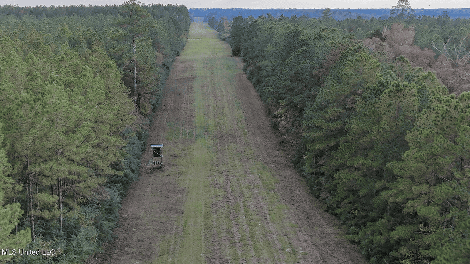 Prime Hunting Property in St Helena Parish, LA