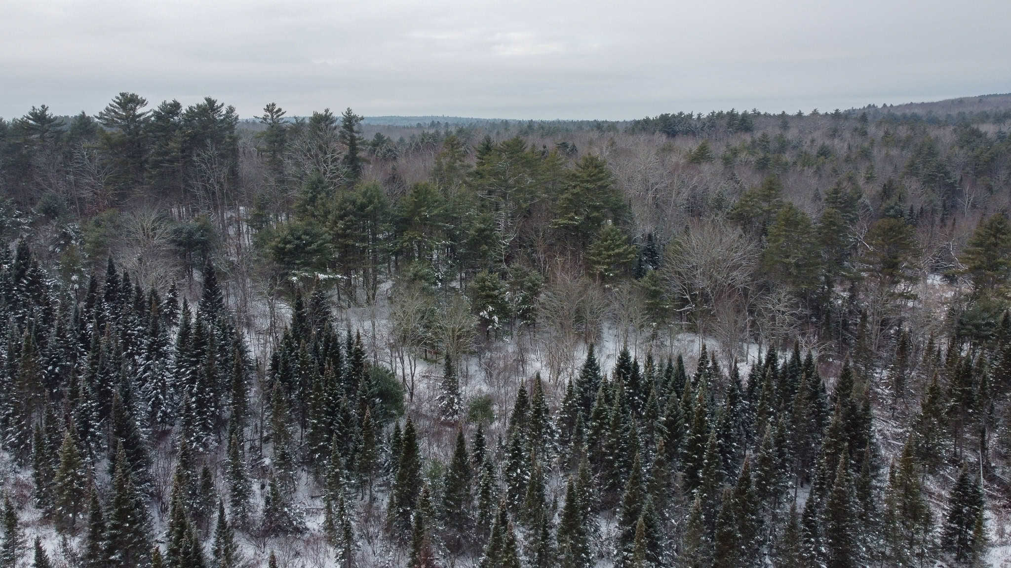 33.4 Acres with Private Pond – Pittston, ME