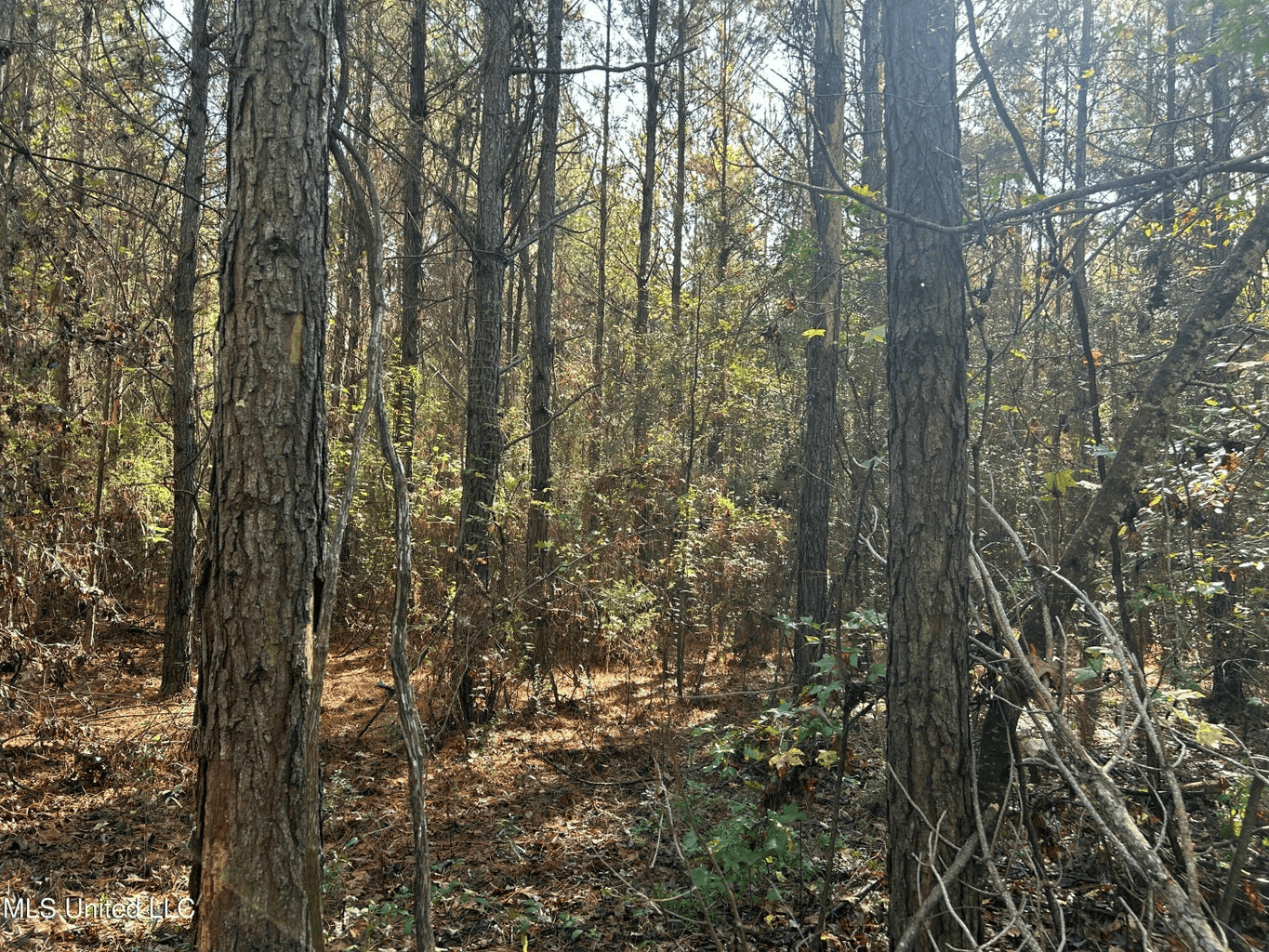 39.7 Acres in Brookhaven MS