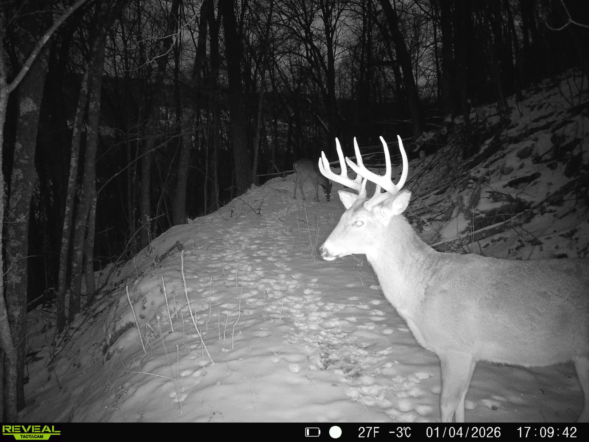100 +/- Acre Ridge-Top Driftless Retreat in Crawford County WI