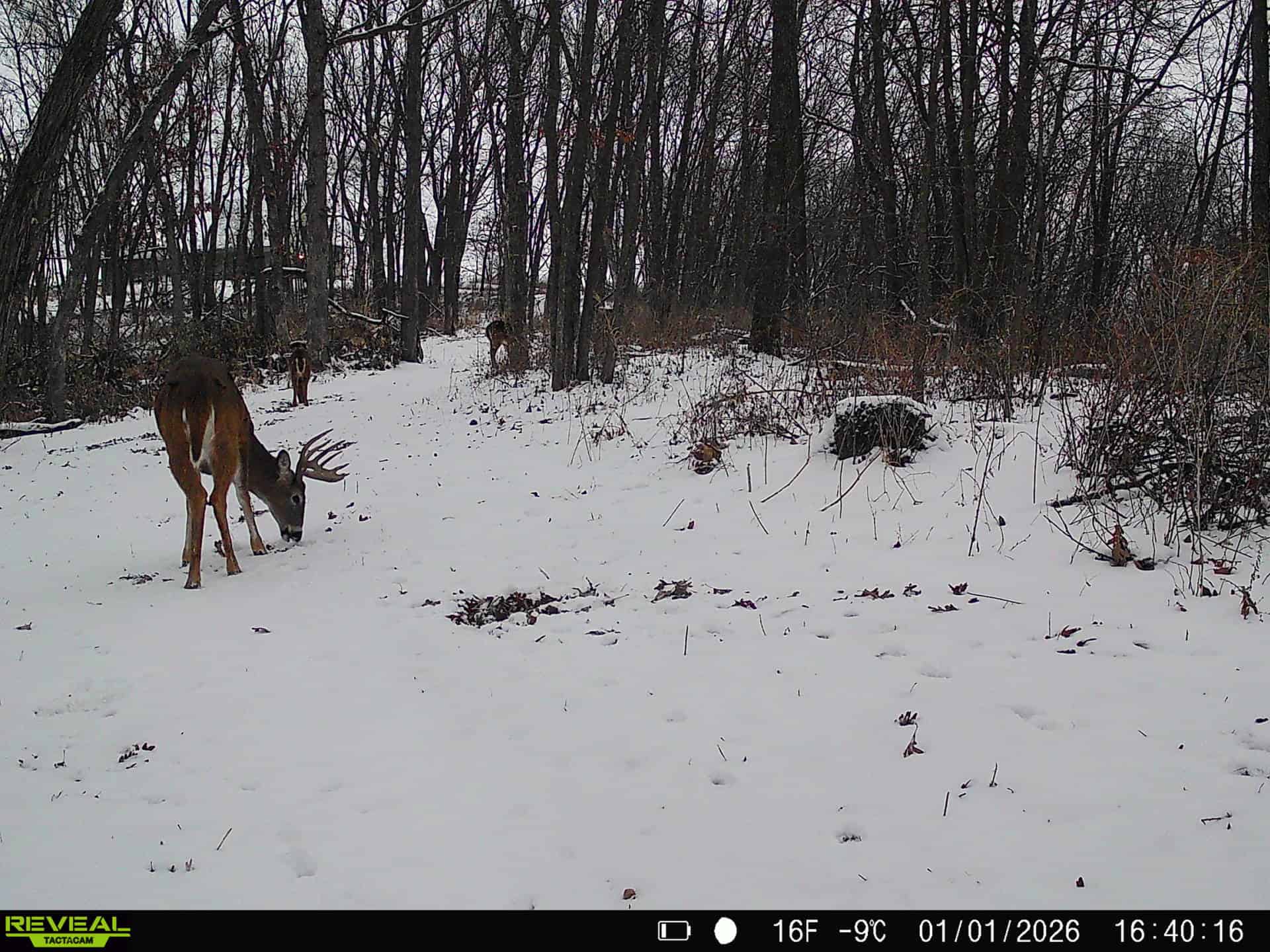 57+/- Acre Retreat in Wisconsin’s Driftless Area, Crawford County