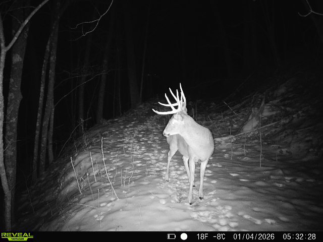 100 +/- Acre Ridge-Top Driftless Retreat in Crawford County WI