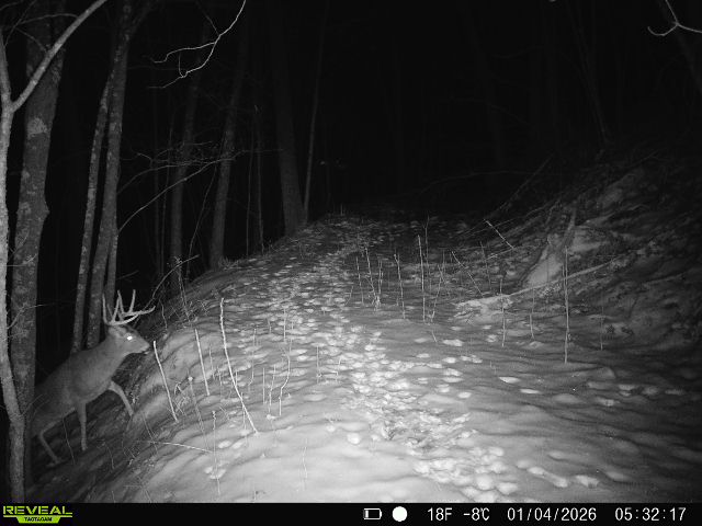 57+/- Acre Retreat in Wisconsin’s Driftless Area, Crawford County