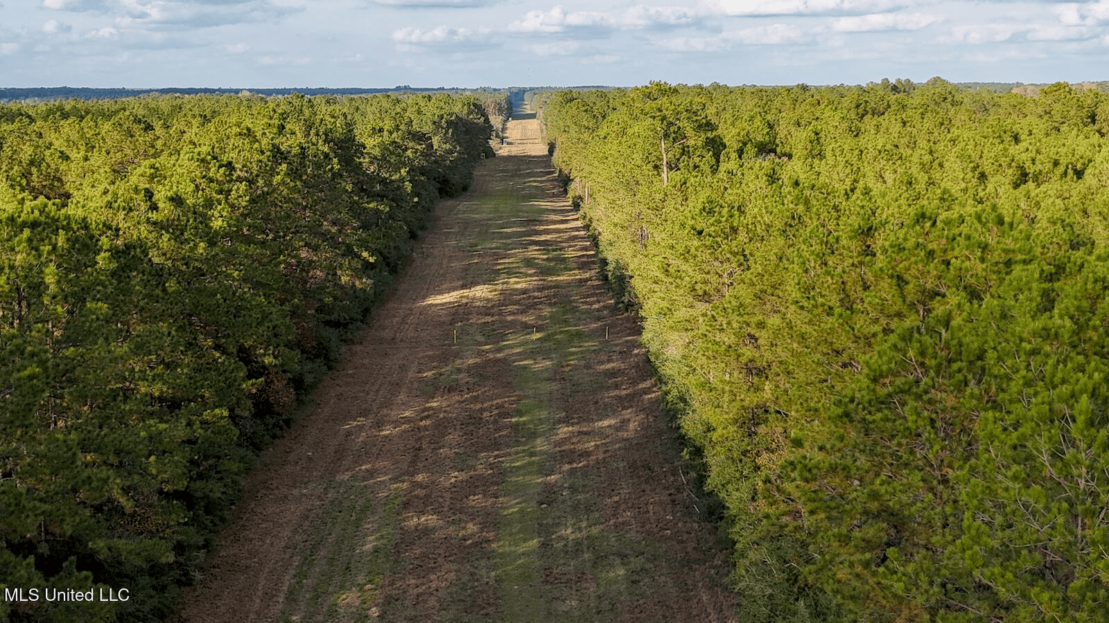 Prime Hunting Property in St Helena Parish, LA