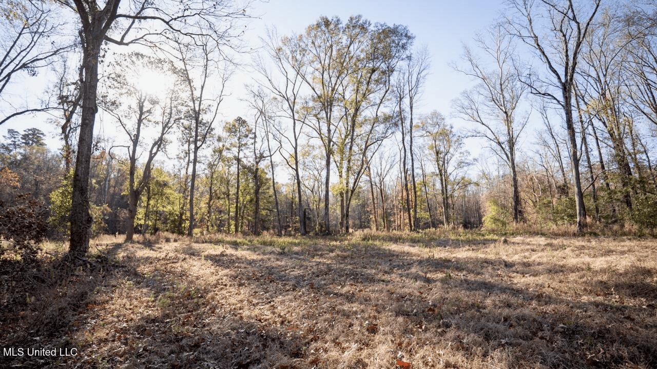 84.5 Acres in Woodville, MS on Hwy 24 with Creeks
