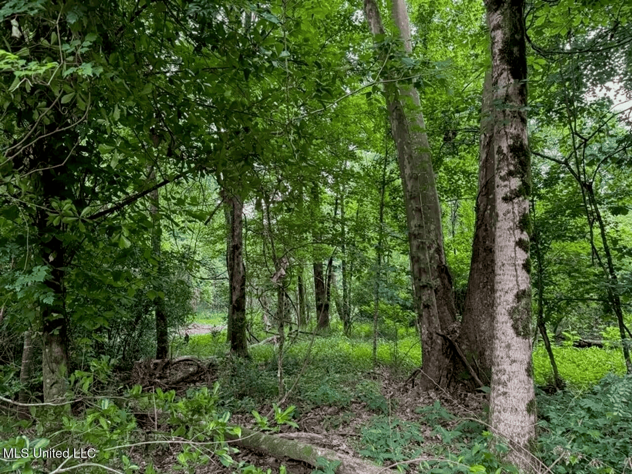 Roxie Mississippi – 94 Acre Recreational Retreat