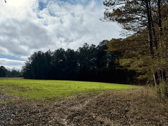 Timberland Farmland For Sale Clay County MS