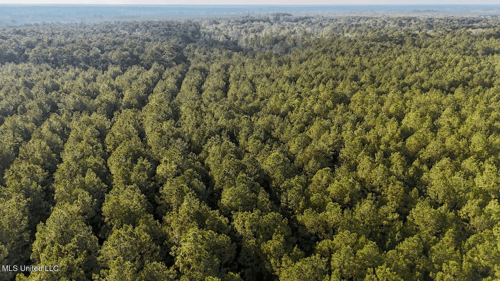 Prime Hunting Property in St Helena Parish, LA