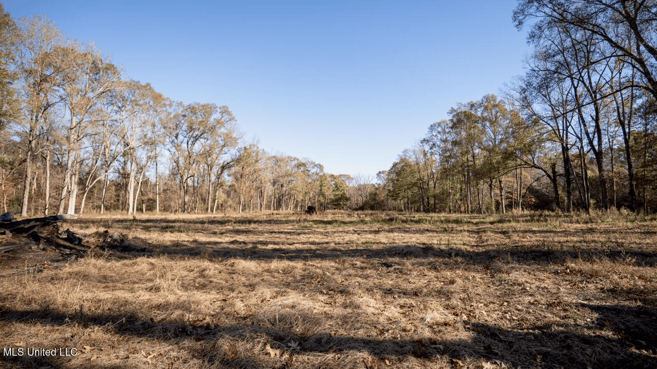 84.5 Acres in Woodville, MS on Hwy 24 with Creeks