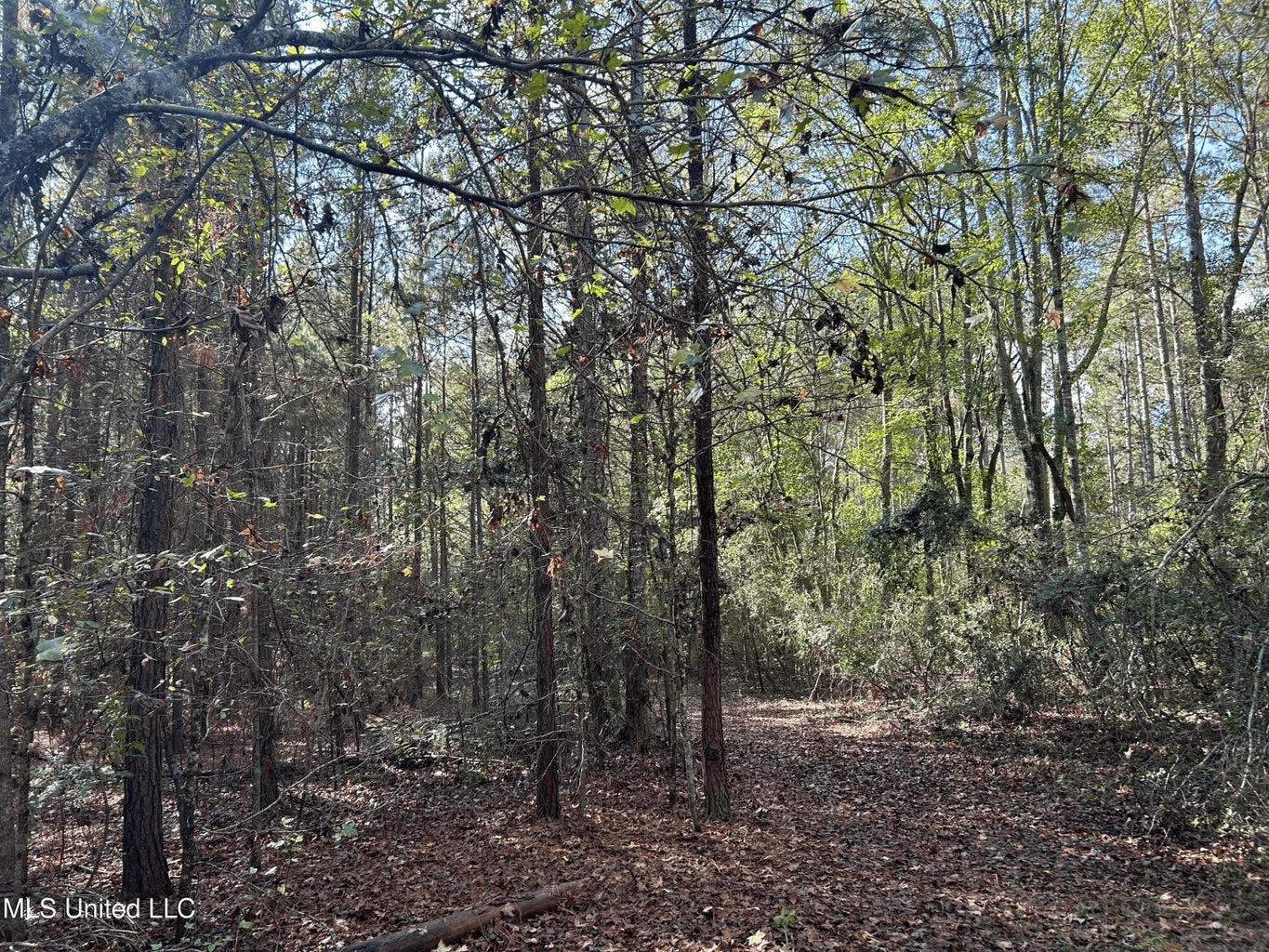 39.7 Acres in Brookhaven MS