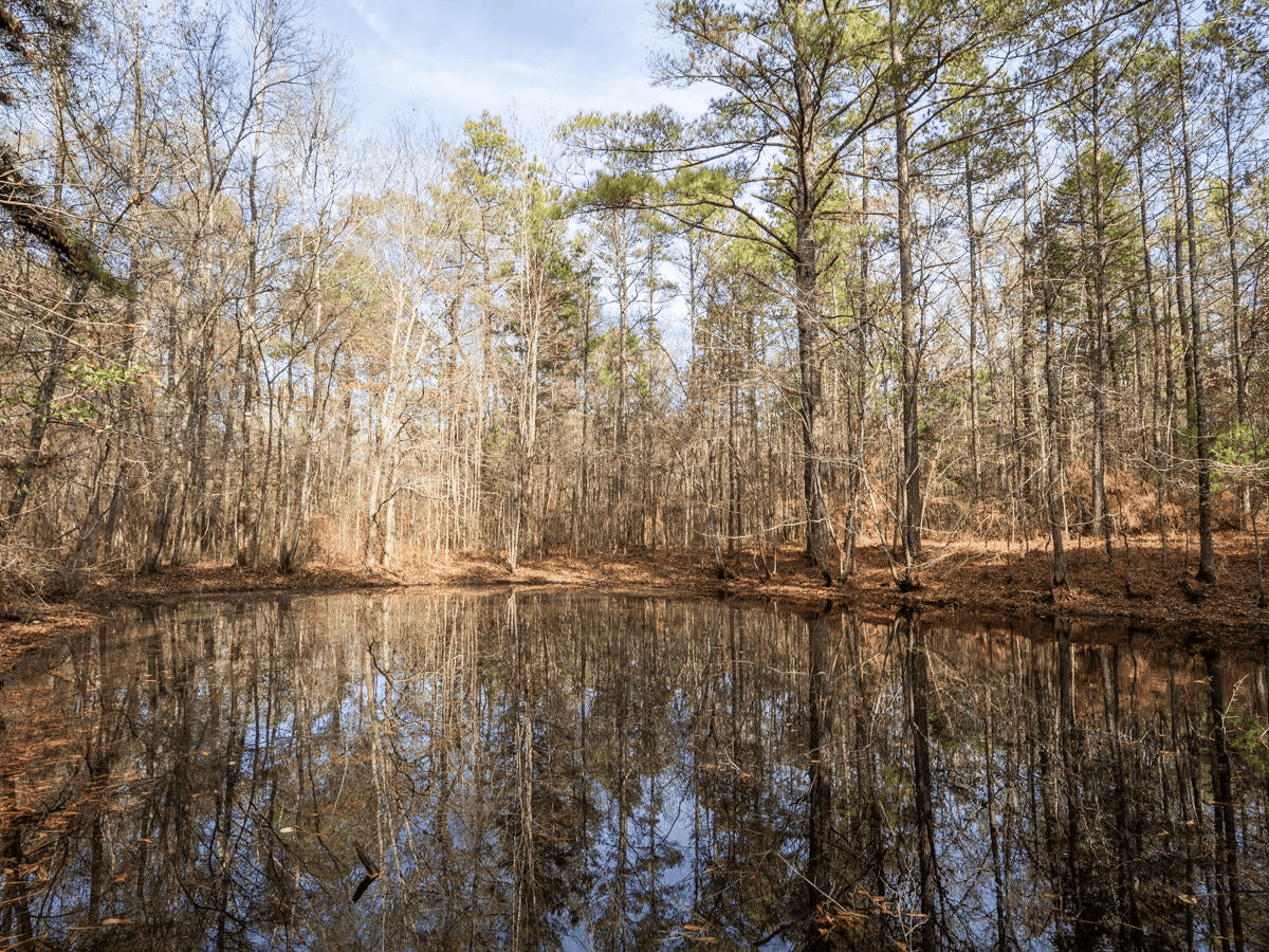 Timberland Farmland For Sale Clay County MS