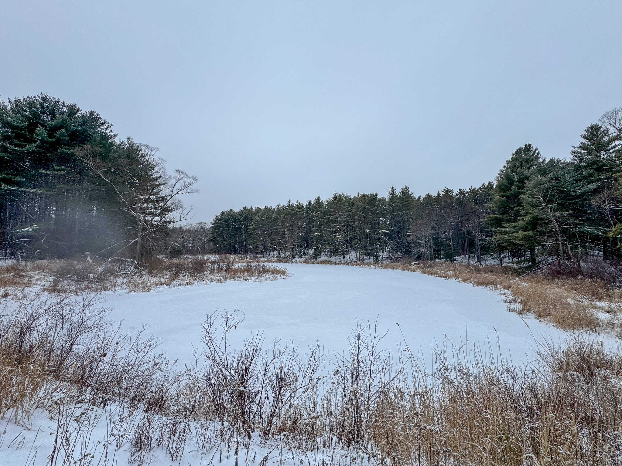 33.4 Acres with Private Pond – Pittston, ME