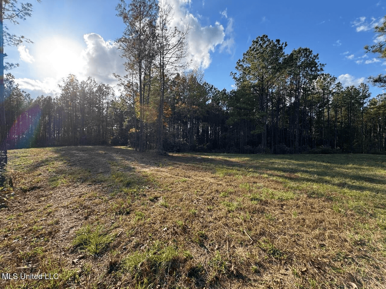 Wilkinson County 60-Acre Turn-Key Solar Hunting Camp