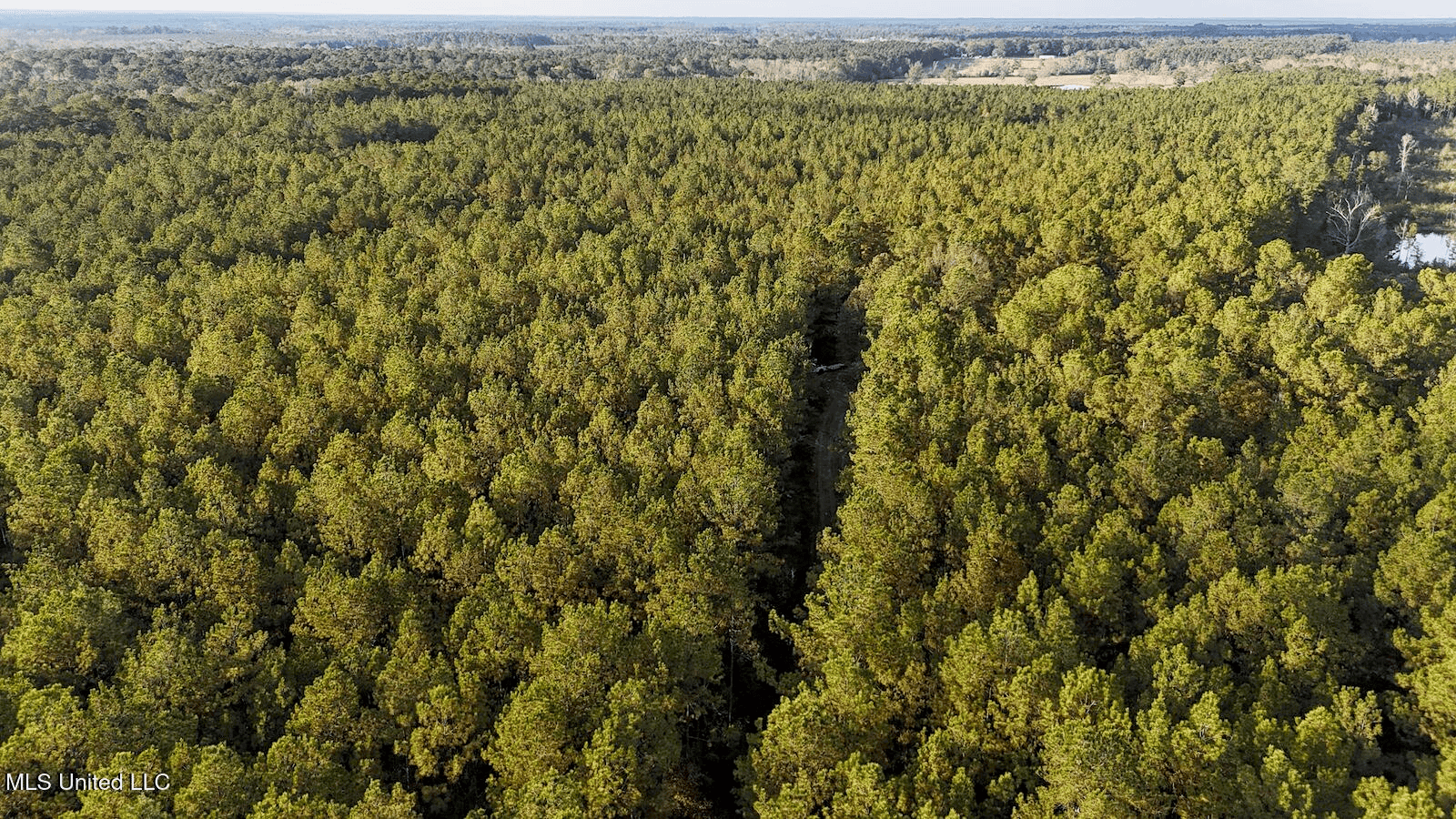 Prime Hunting Property in St Helena Parish, LA