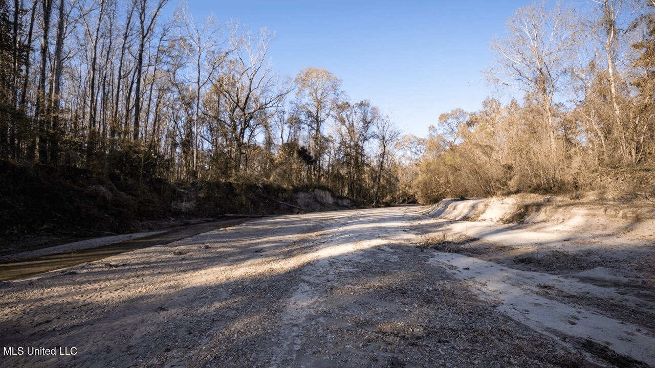 84.5 Acres in Woodville, MS on Hwy 24 with Creeks