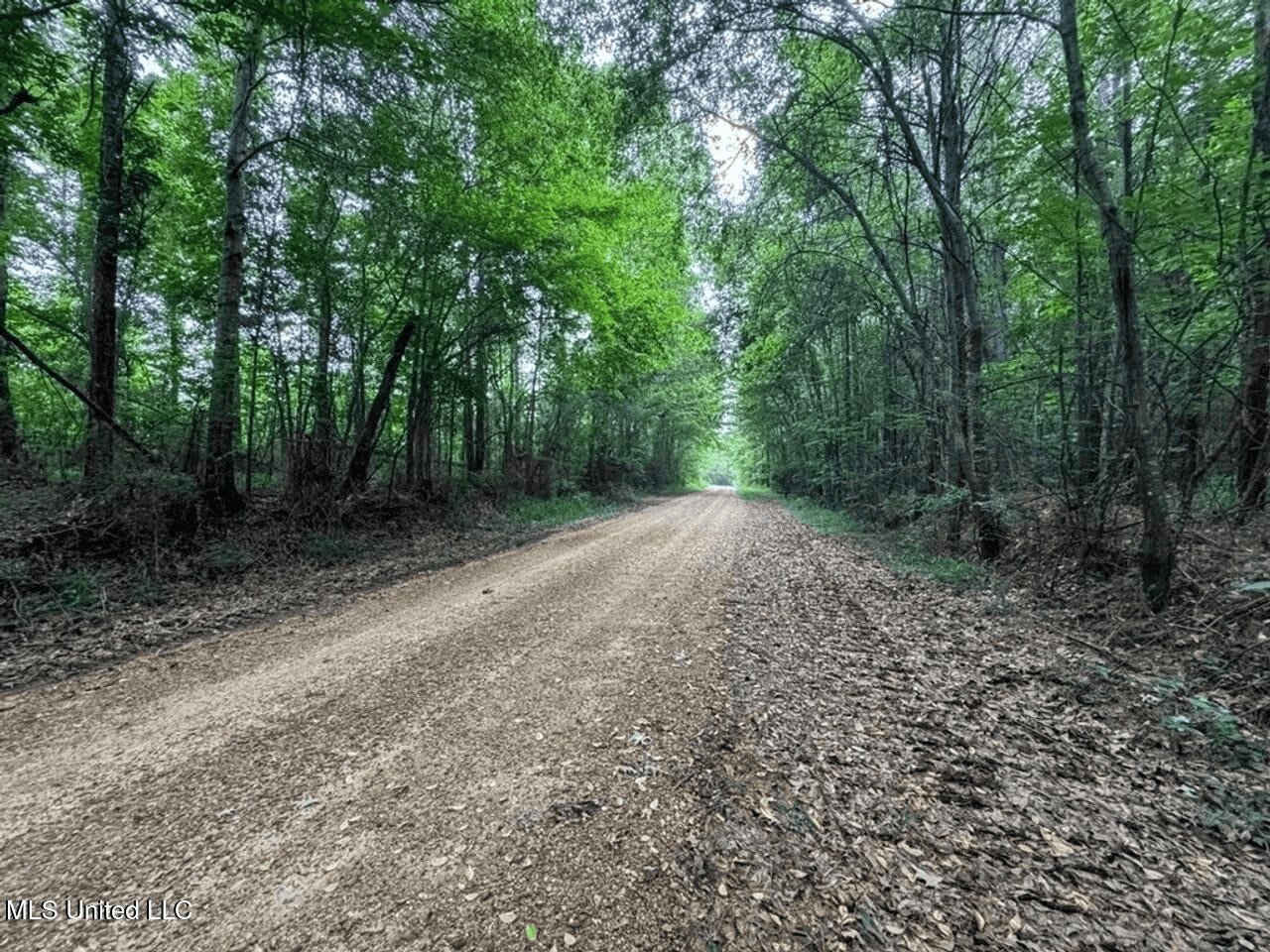 Roxie Mississippi – 94 Acre Recreational Retreat