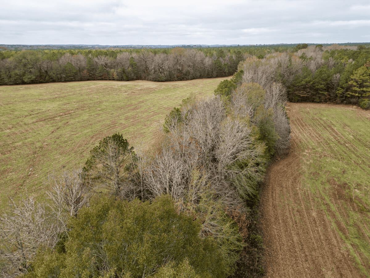 Timberland Farmland For Sale Clay County MS