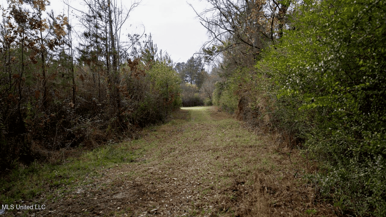 283± Acres for Sale Amite County, Mississippi