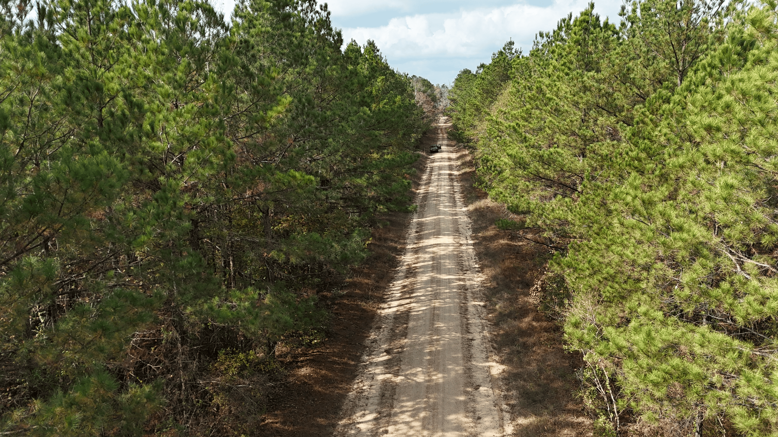 Hunting and Timberland w/ Homesite Potential Trout LA