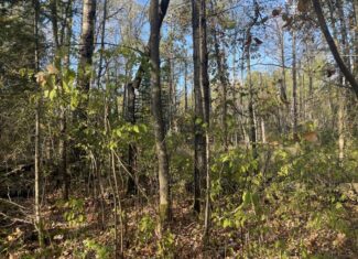 20 Acre Hunting Property w/ Quonset Shack For Sale in Kerrick MN