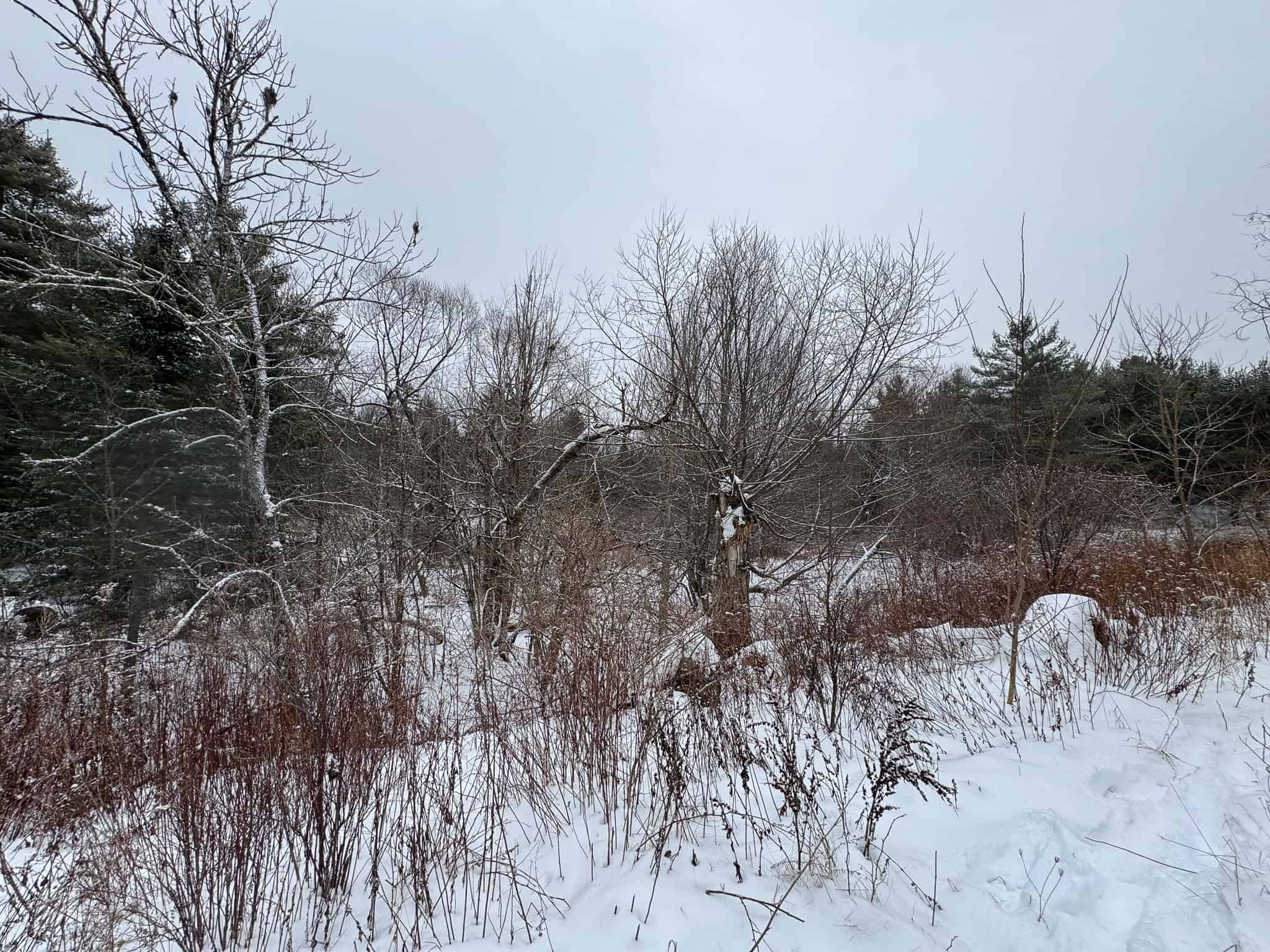 33.4 Acres with Private Pond – Pittston, ME