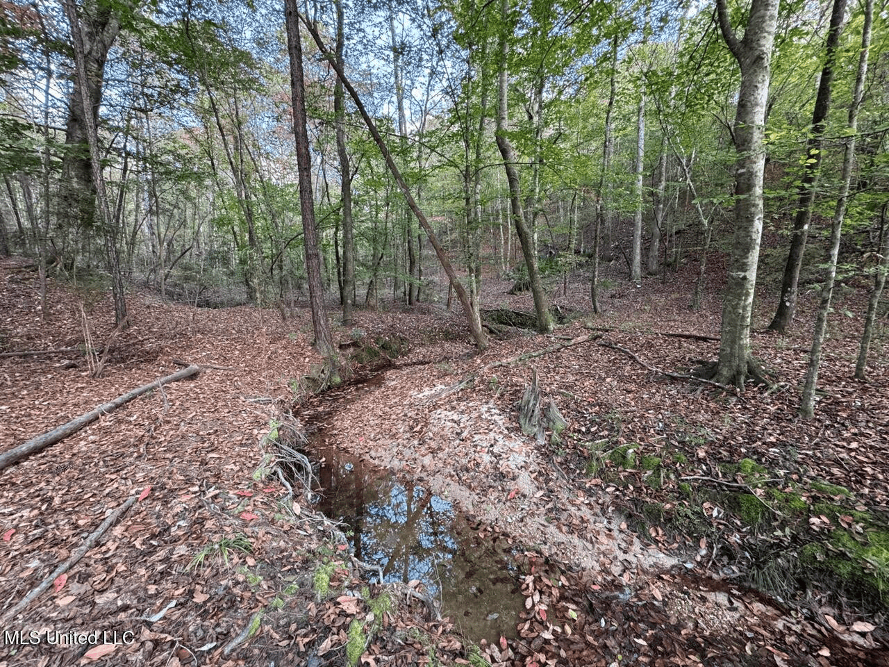 Wilkinson County 60-Acre Turn-Key Solar Hunting Camp