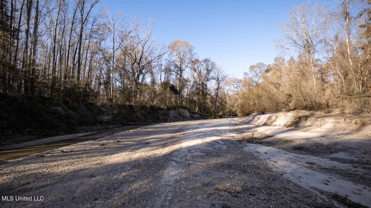 84.5 Acres in Woodville, MS on Hwy 24 with Creeks