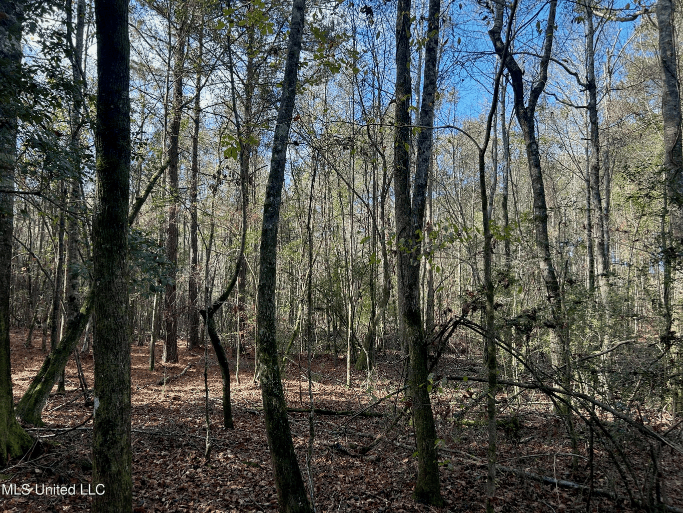 39.7 Acres in Brookhaven MS