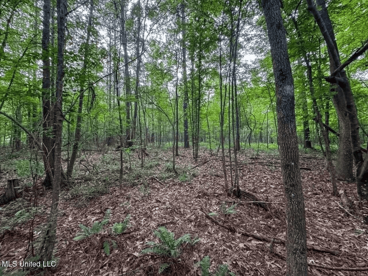 Roxie Mississippi – 94 Acre Recreational Retreat