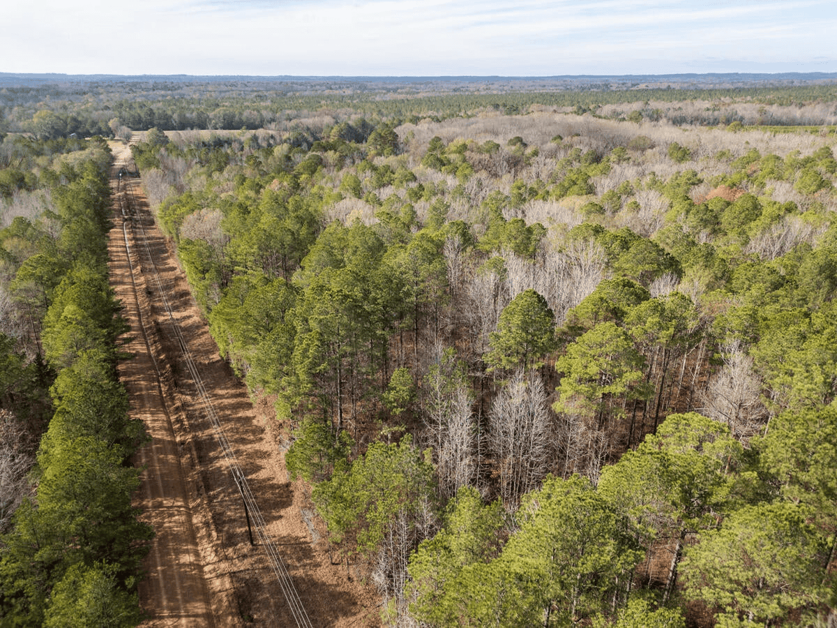 Timberland Farmland For Sale Clay County MS