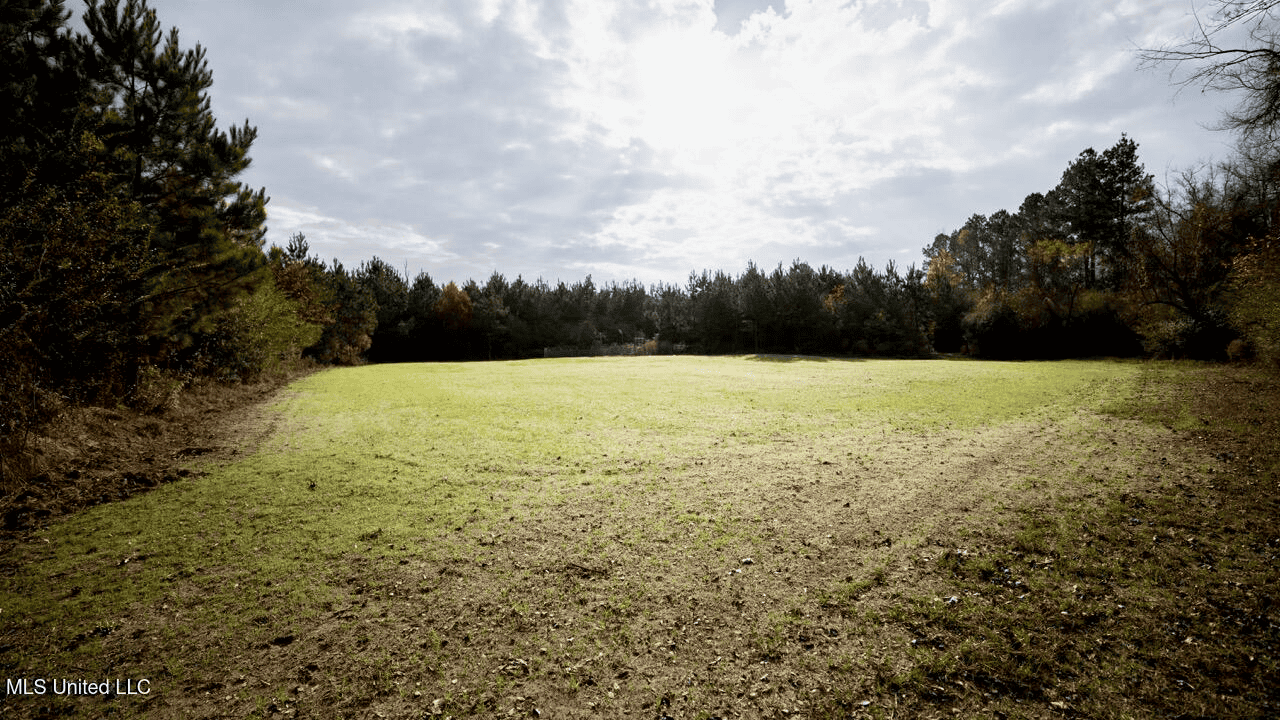 283± Acres for Sale Amite County, Mississippi