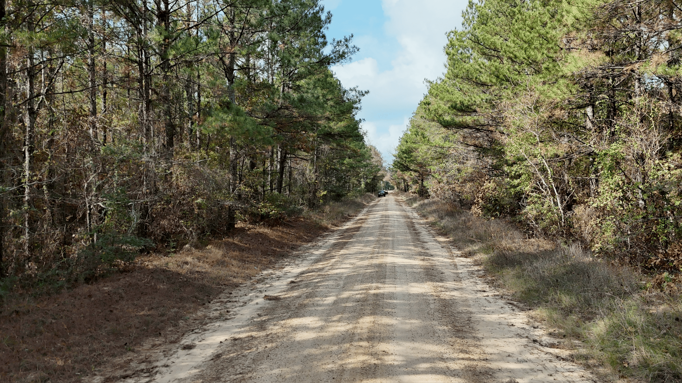 Hunting and Timberland w/ Homesite Potential Trout LA