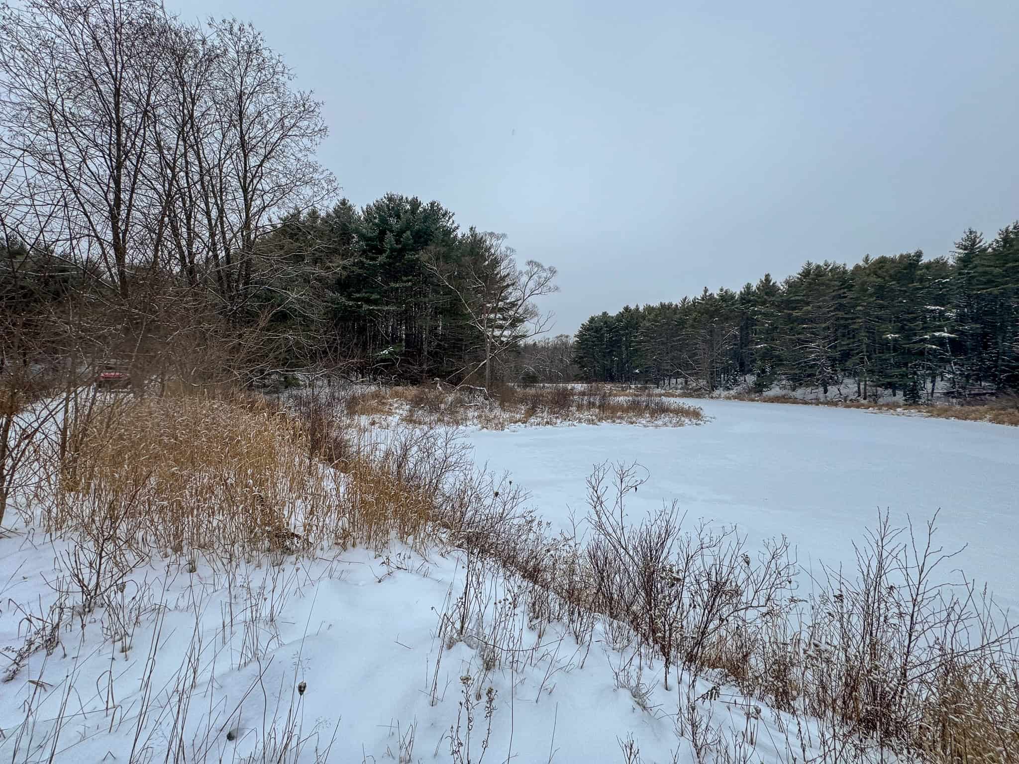 33.4 Acres with Private Pond – Pittston, ME