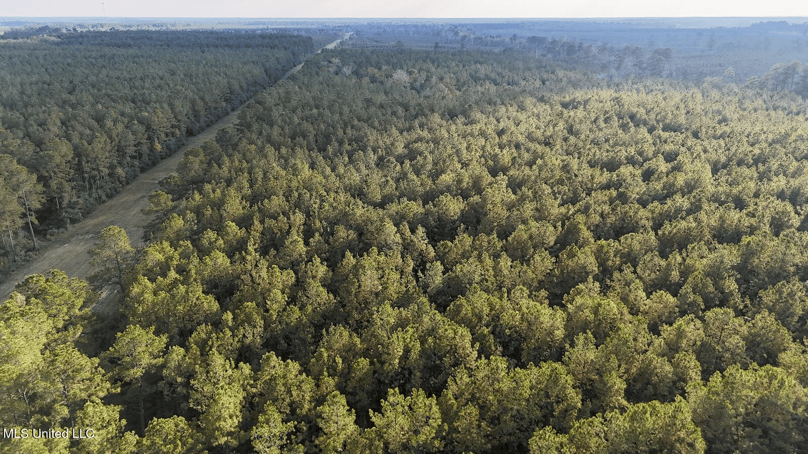 Prime Hunting Property in St Helena Parish, LA